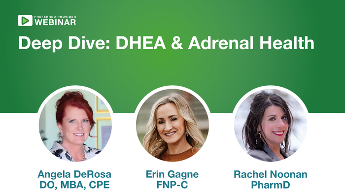 Webinar featuring speakers Angela DeRosa, Erin Gagne, and Rachel Noonan.
