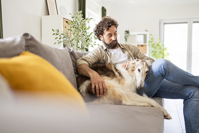enclomiphene medication image of a man on a couch with a dog